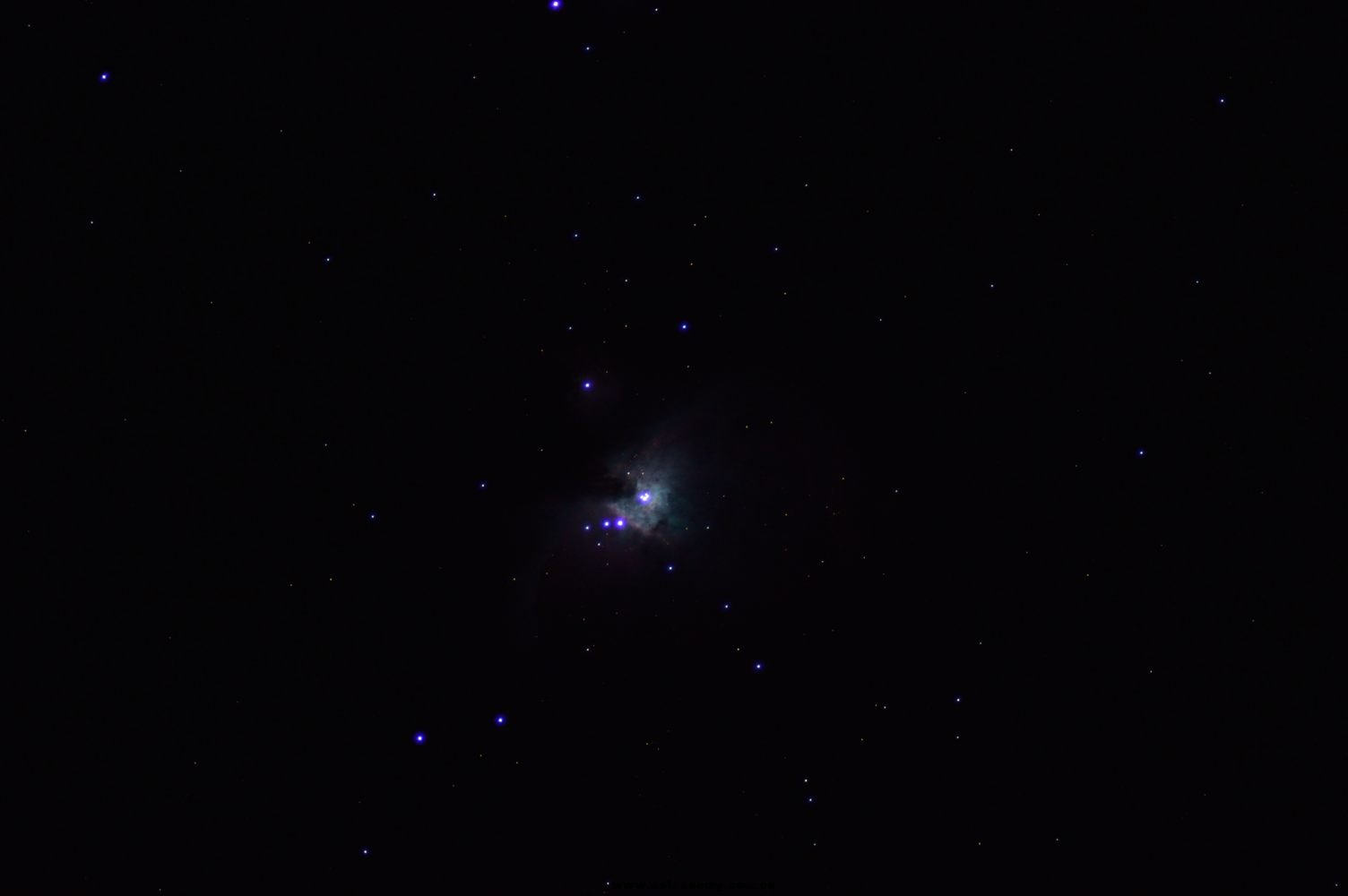 DSC_0302.jpg