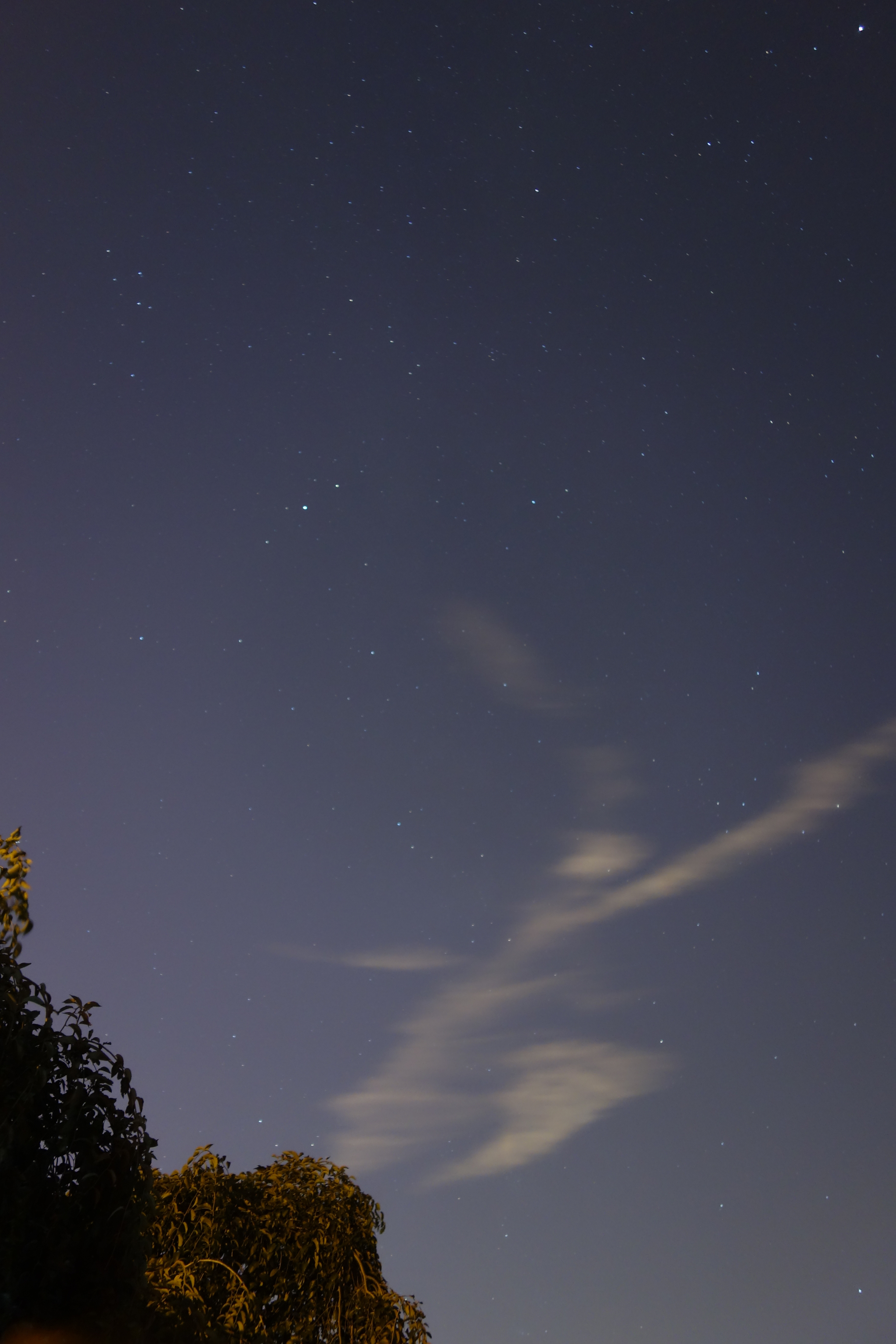 DSC04692_旋转.jpg