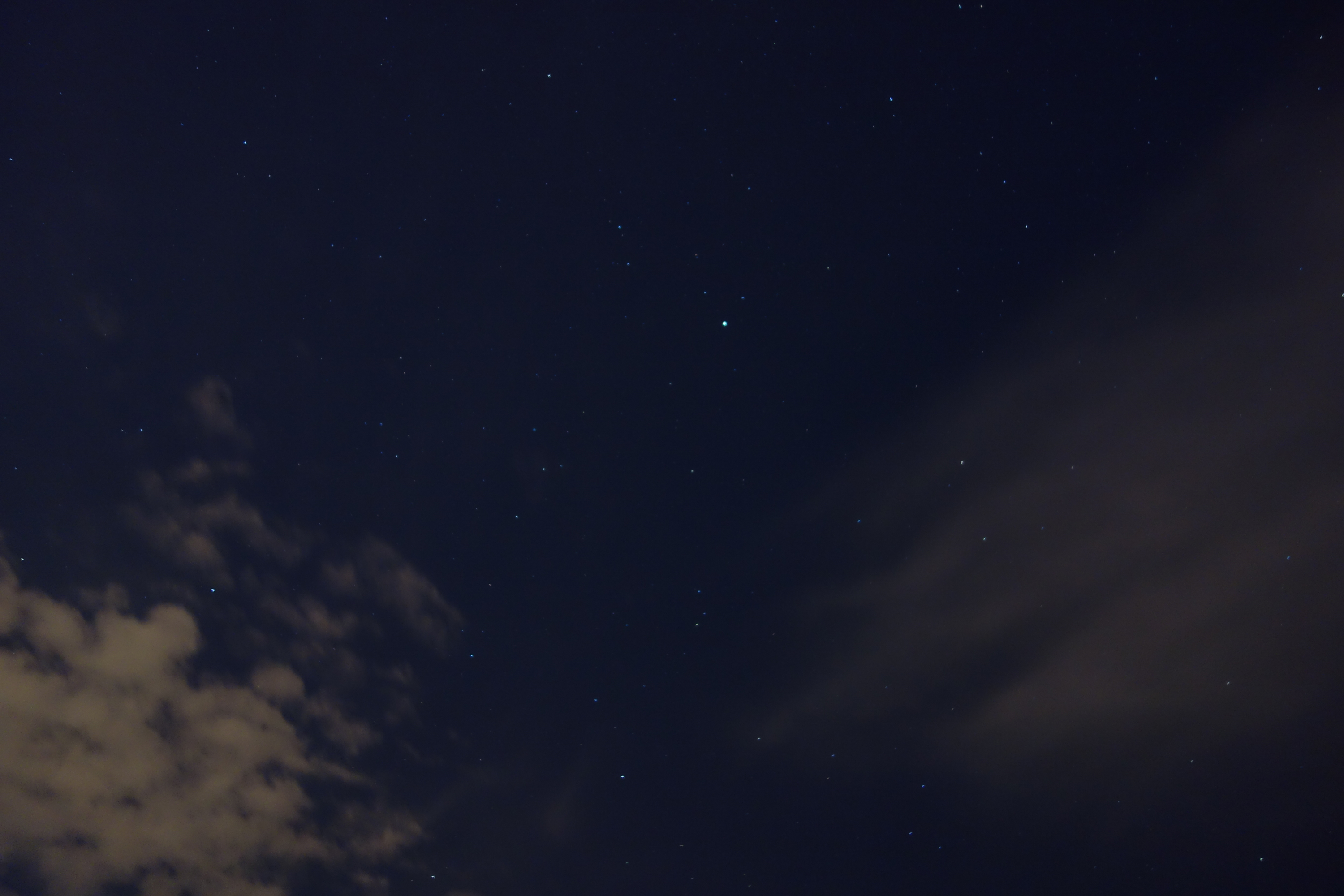 DSC04705.jpg
