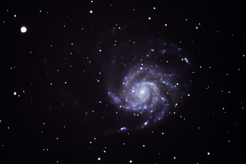 M101 jpg2.jpg