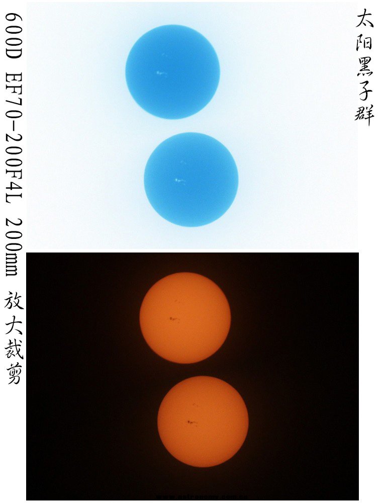 黑子组图.jpg