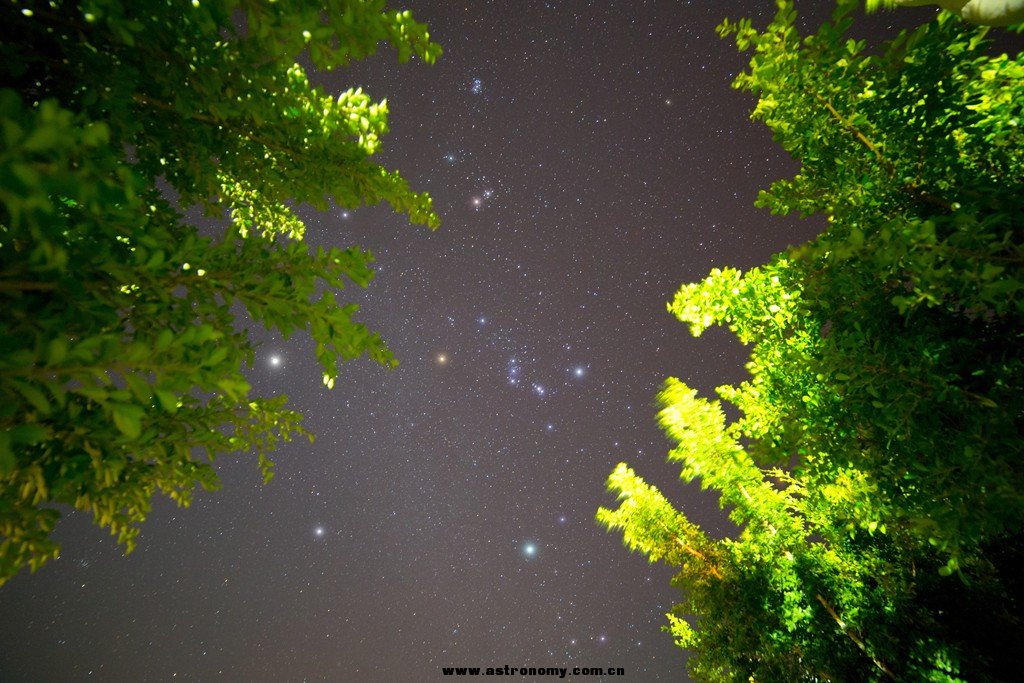 IMG_6336_soft5_副本.jpg