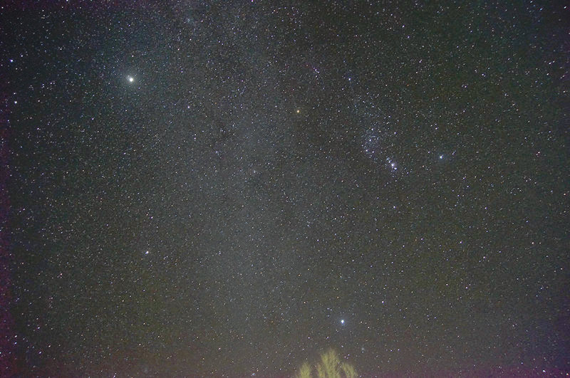DSC06987_副本.JPG