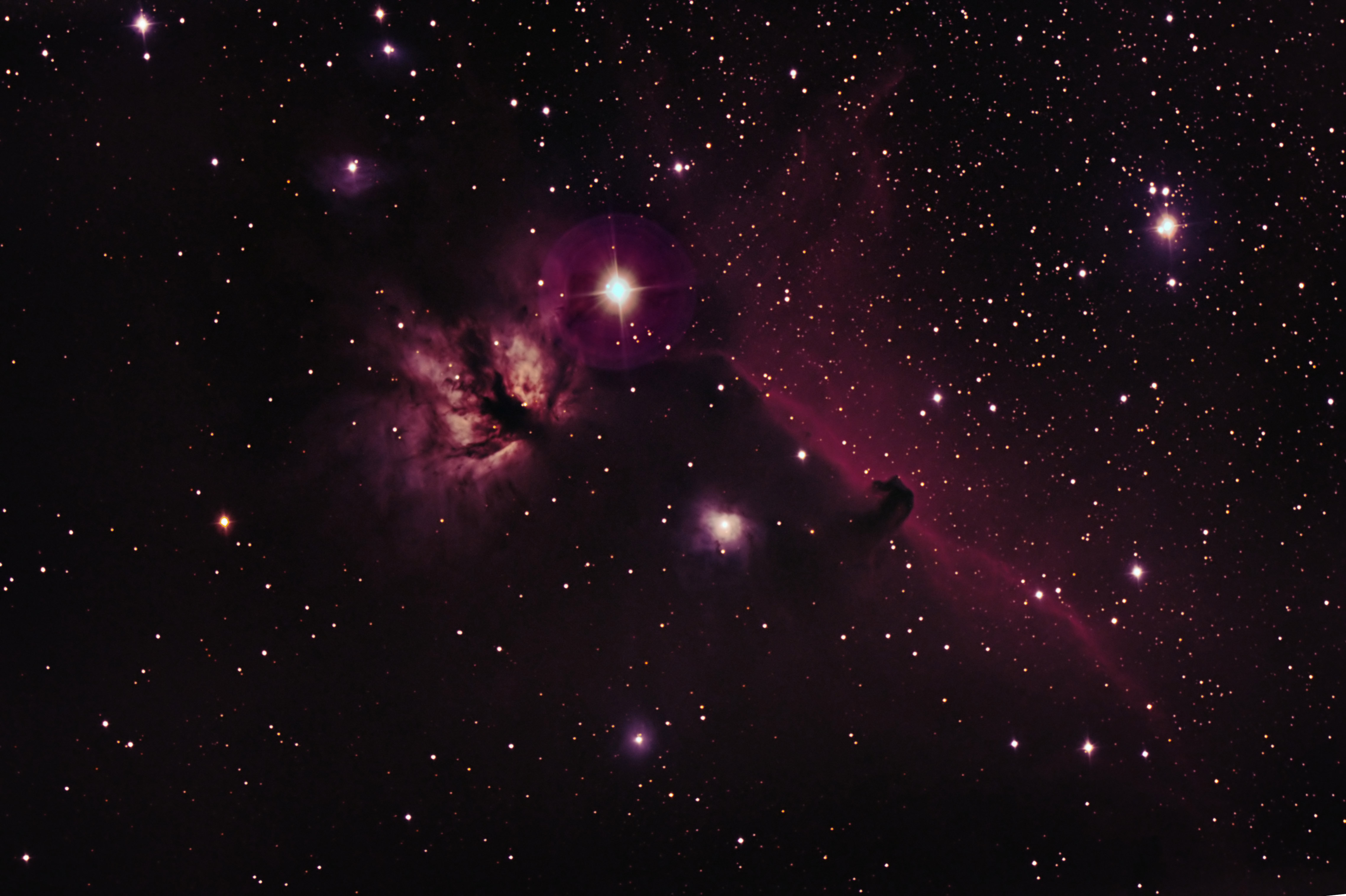 Horsehead_final_crop4.jpg