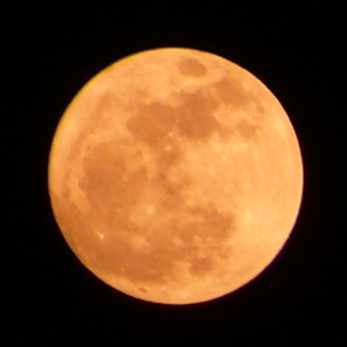 P2620474_cf500.jpg