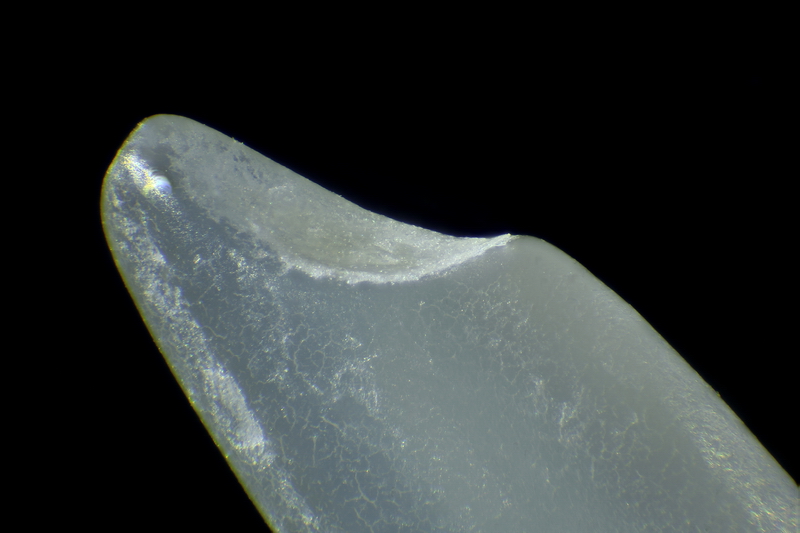 2014-02-14-22.05.52 ZS PMax.jpg