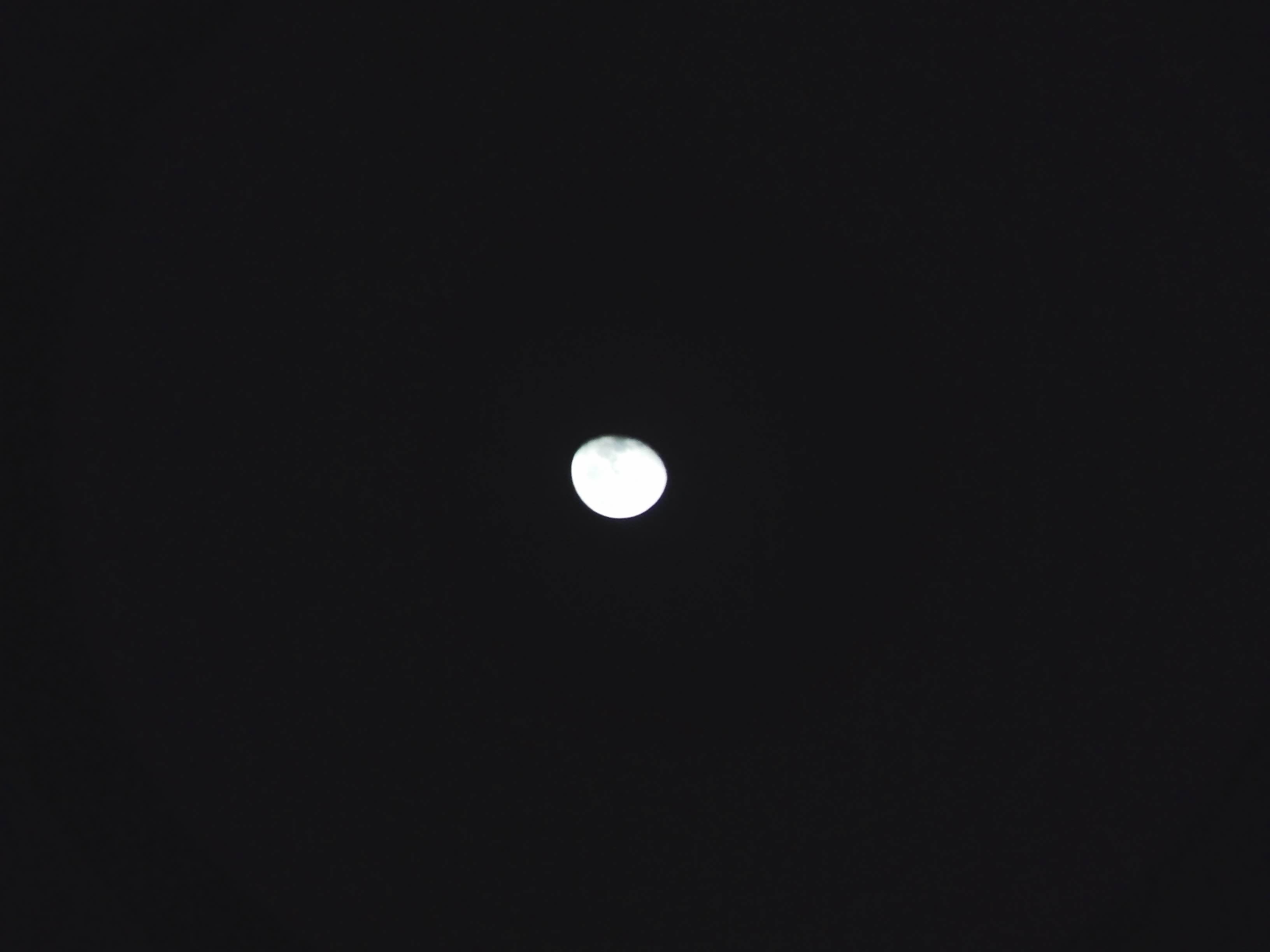 没变焦