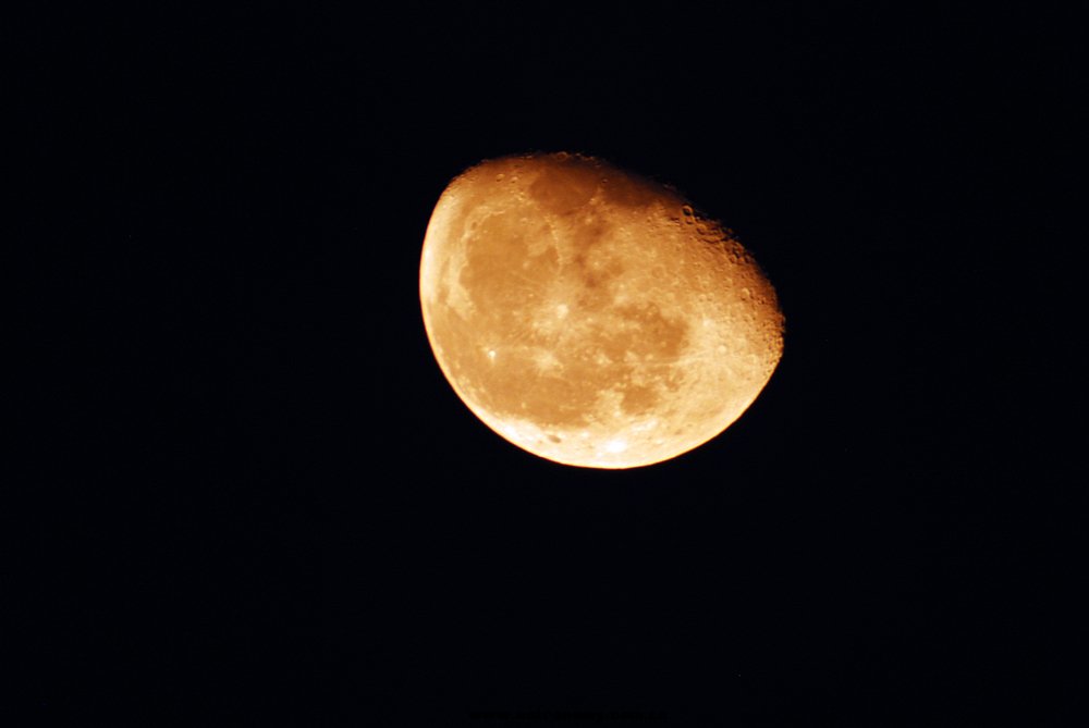 DSC_2912.jpg