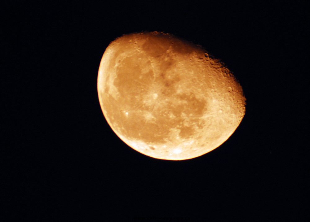DSC_2912d.jpg