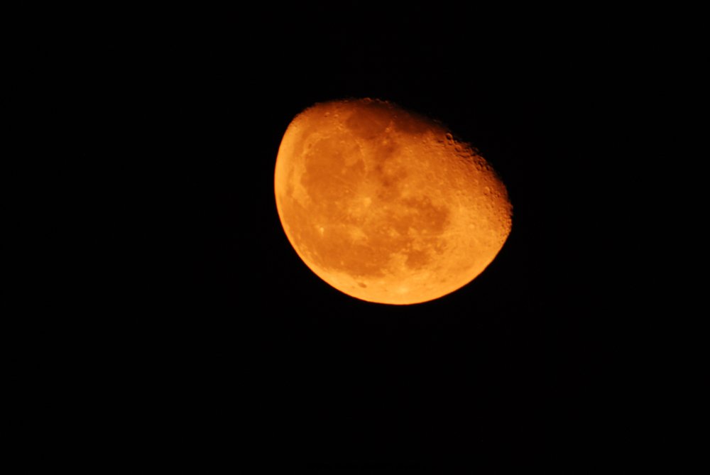DSC_2913.jpg