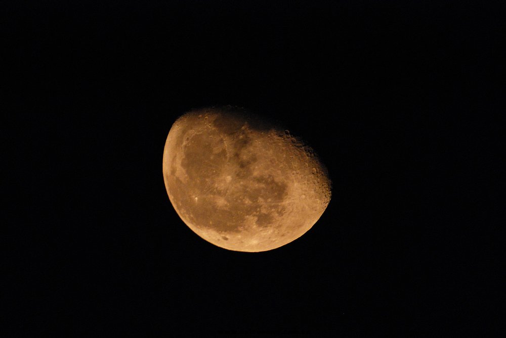 DSC_2930.jpg