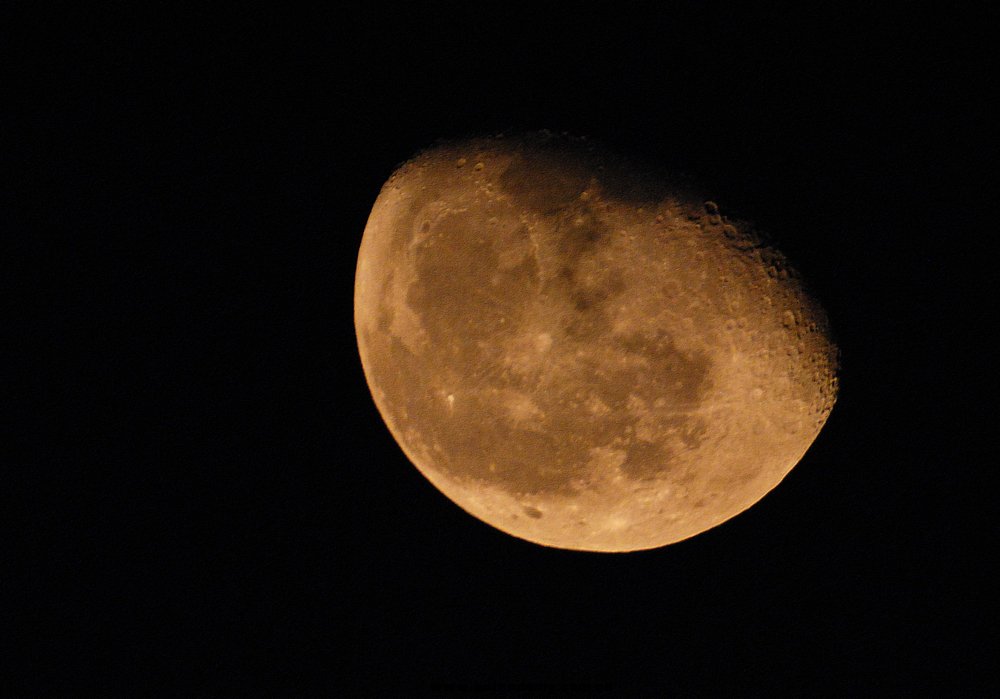 DSC_2930b.jpg