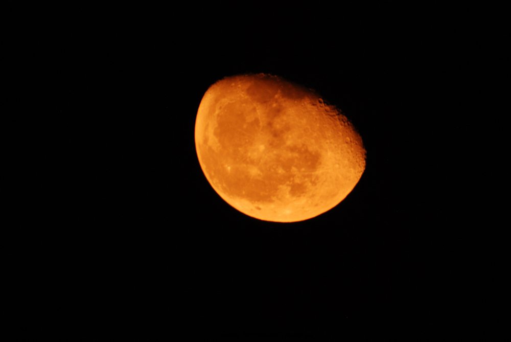 DSC_291000000.jpg
