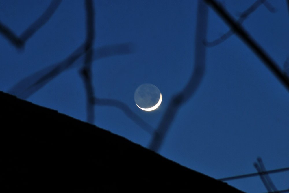 DSC_0786_conew1.jpg