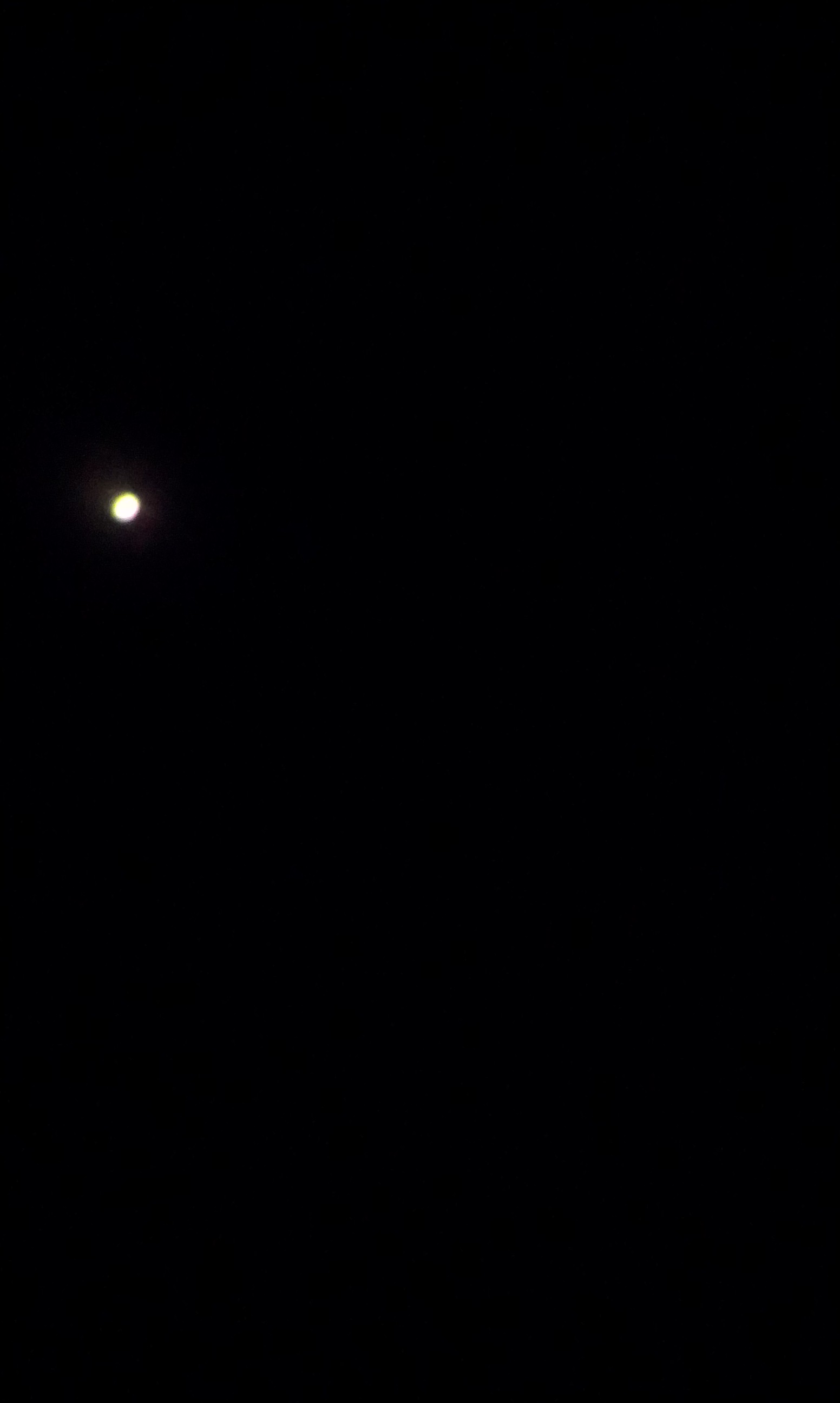 IMAG0183.jpg