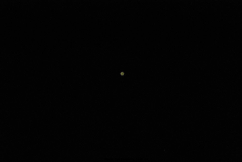 DSC_2896.jpg
