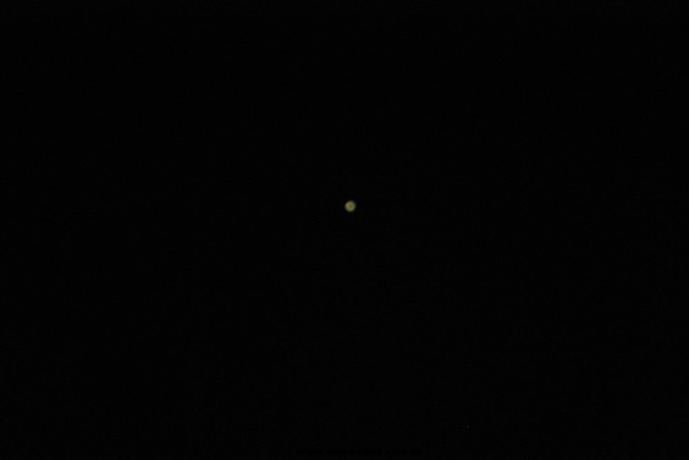 DSC_2897.jpg