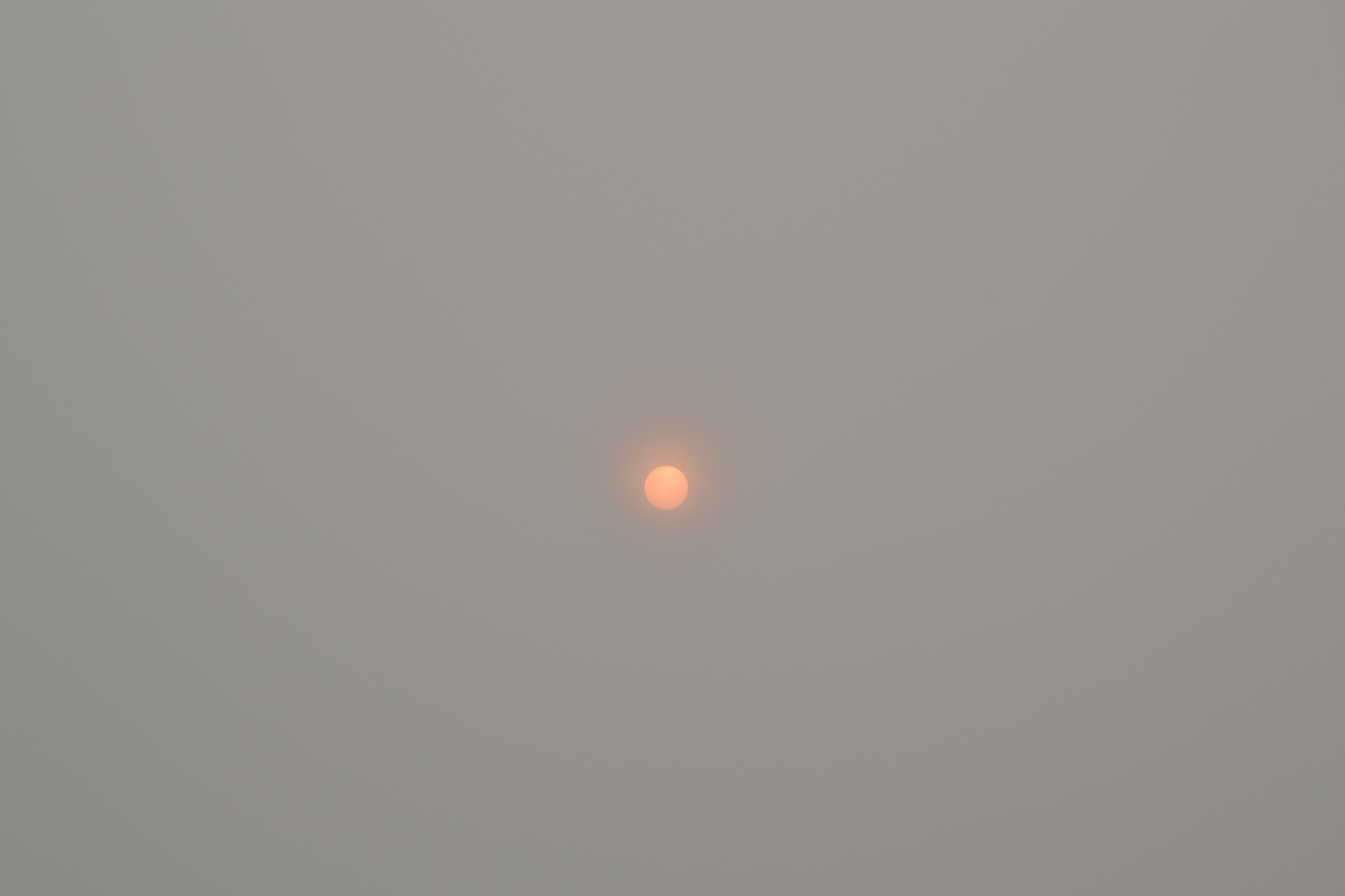 DSC_0554.JPG