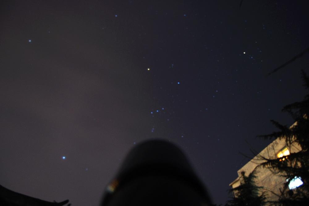 DSC_3089.jpg
