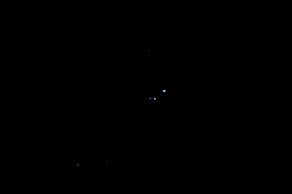DSC_3101.jpg