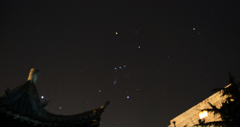 DSC_3115.jpg