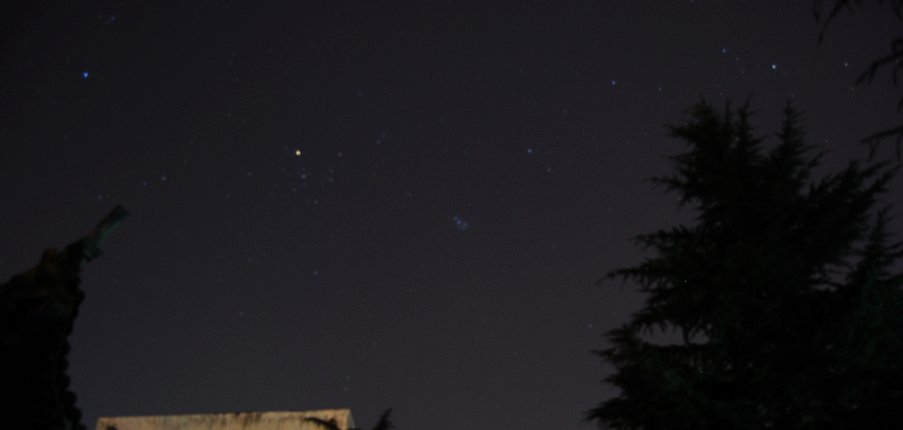 DSC_3136.jpg
