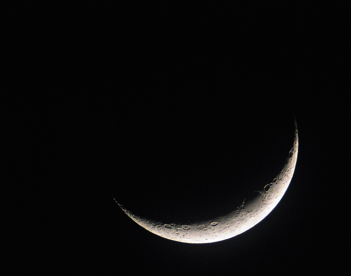 DSC_3298.jpg