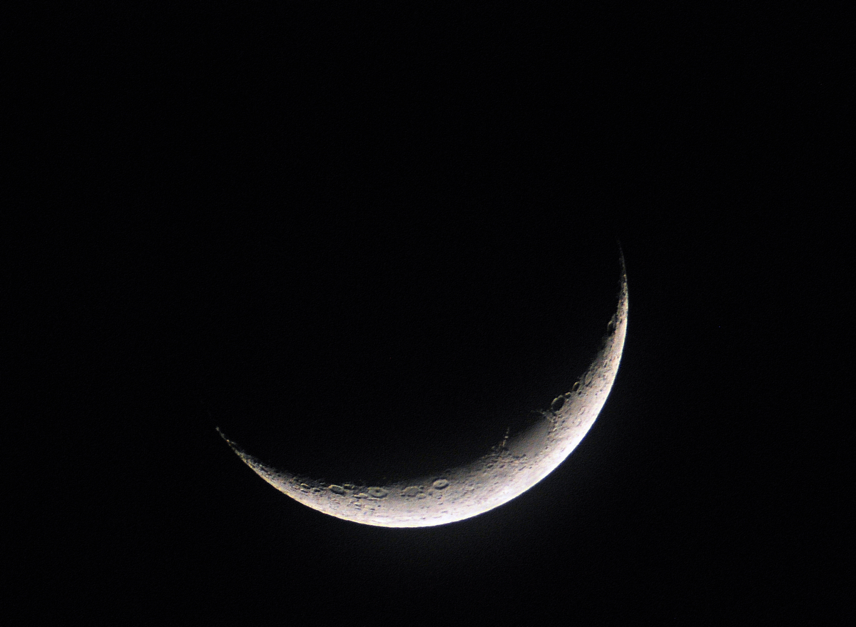 DSC_3301.jpg