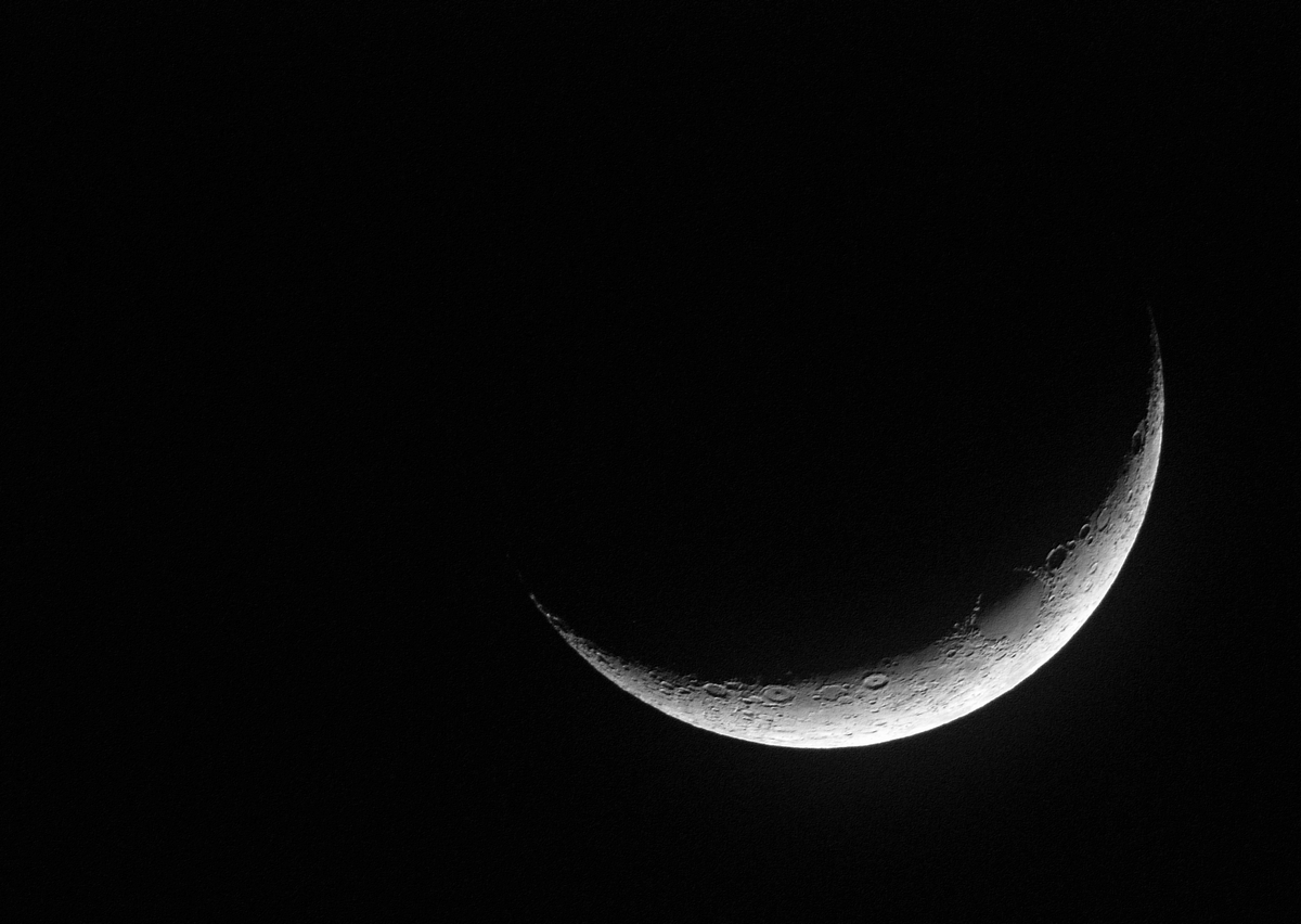 DSC_3320.jpg