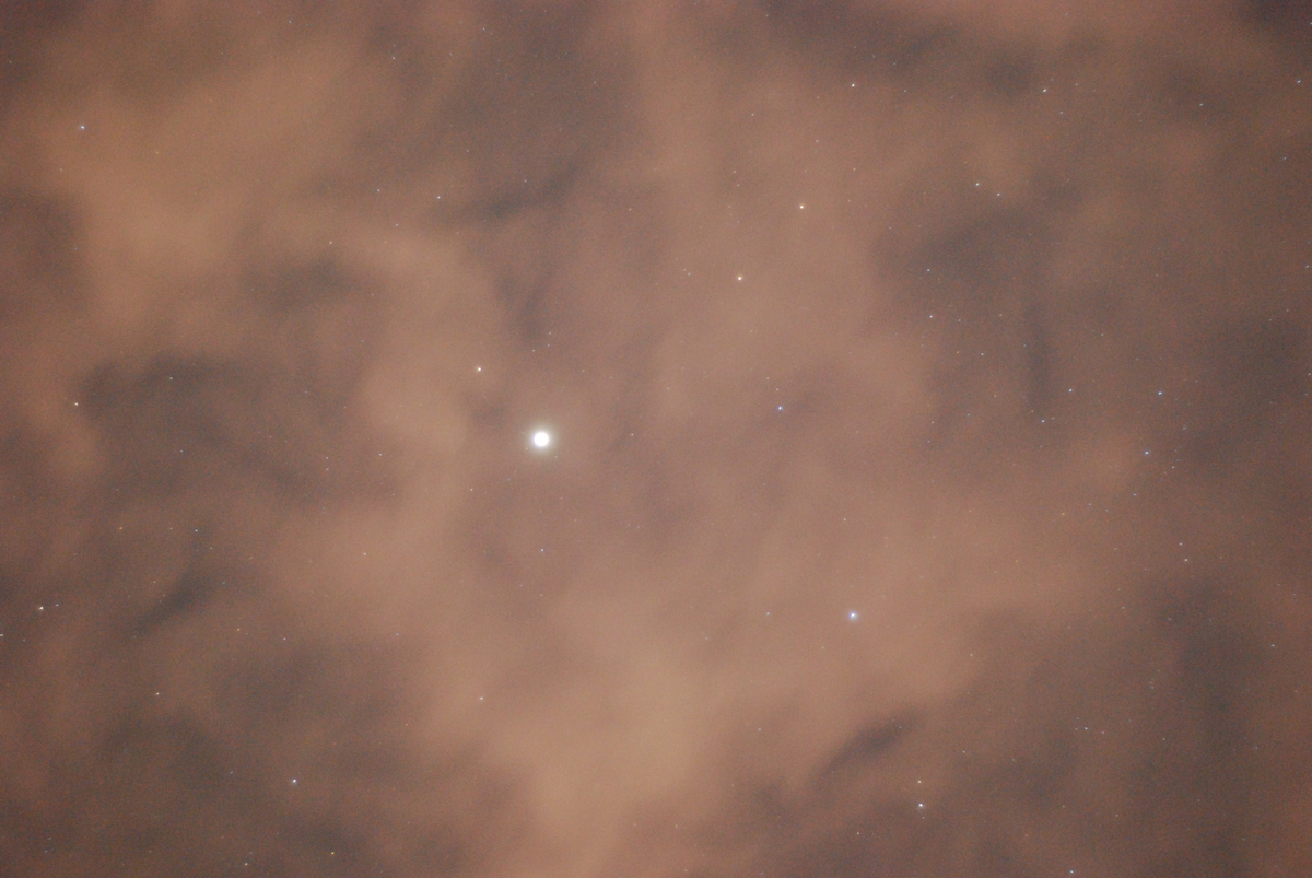 DSC_3364v.jpg