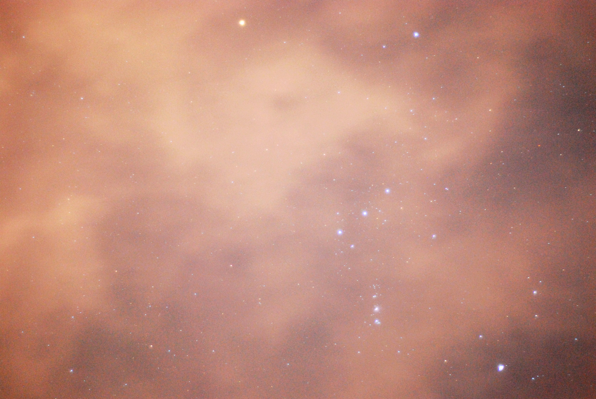DSC_3366.jpg