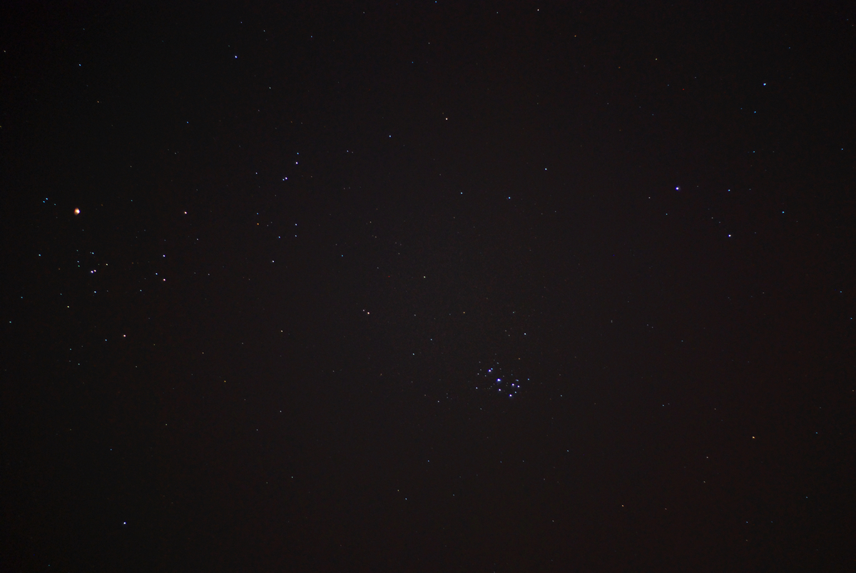 DSC_3379.jpg