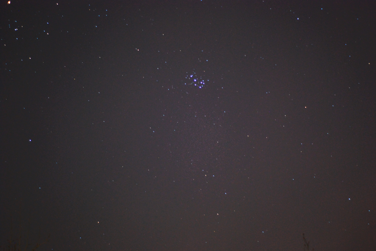 DSC_3380.jpg