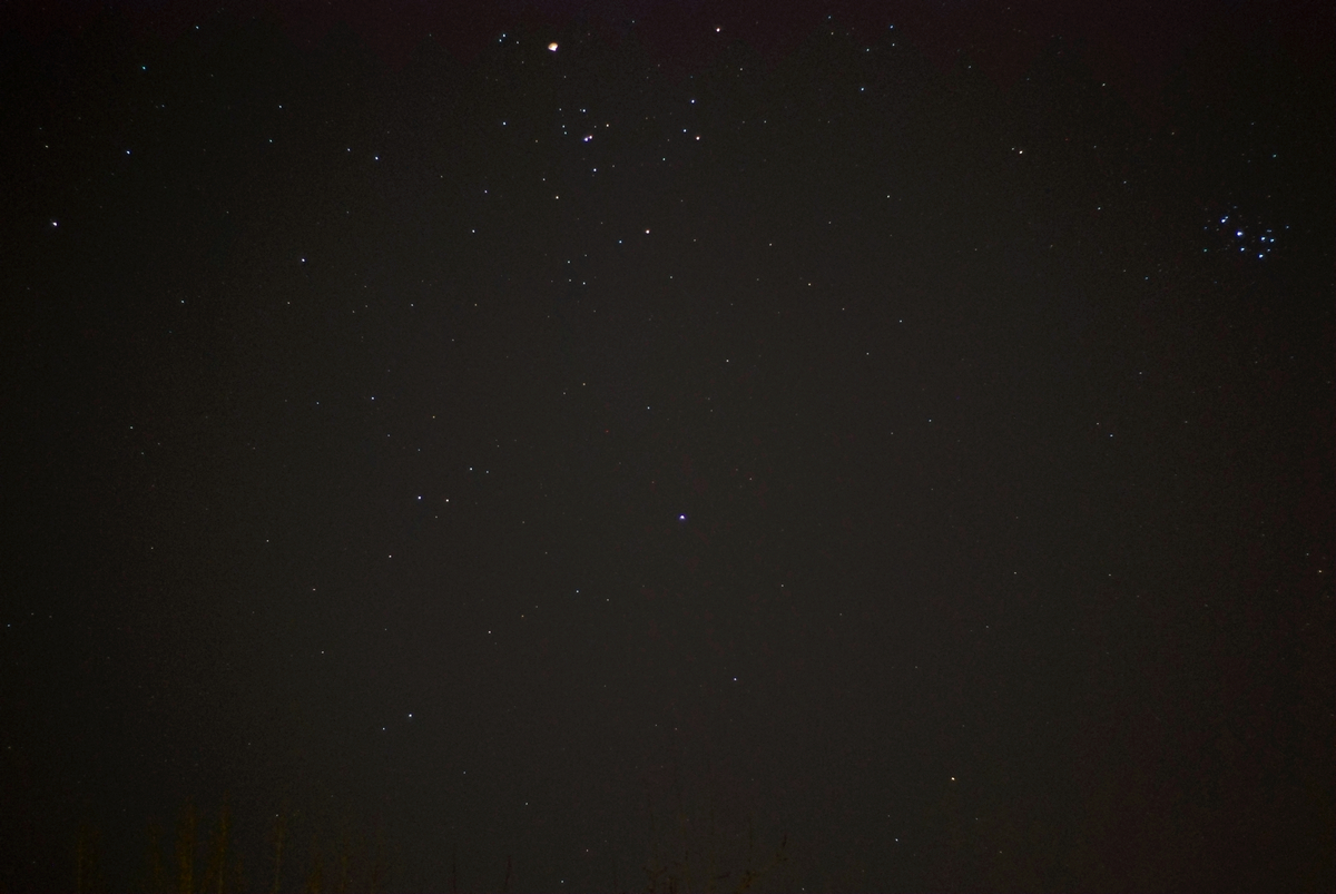 DSC_3381.jpg