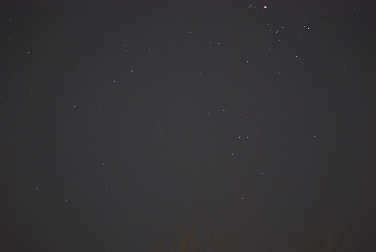 DSC_3382.jpg