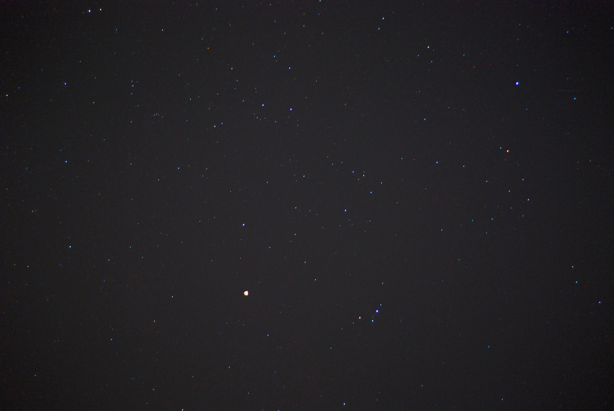 DSC_3393.jpg