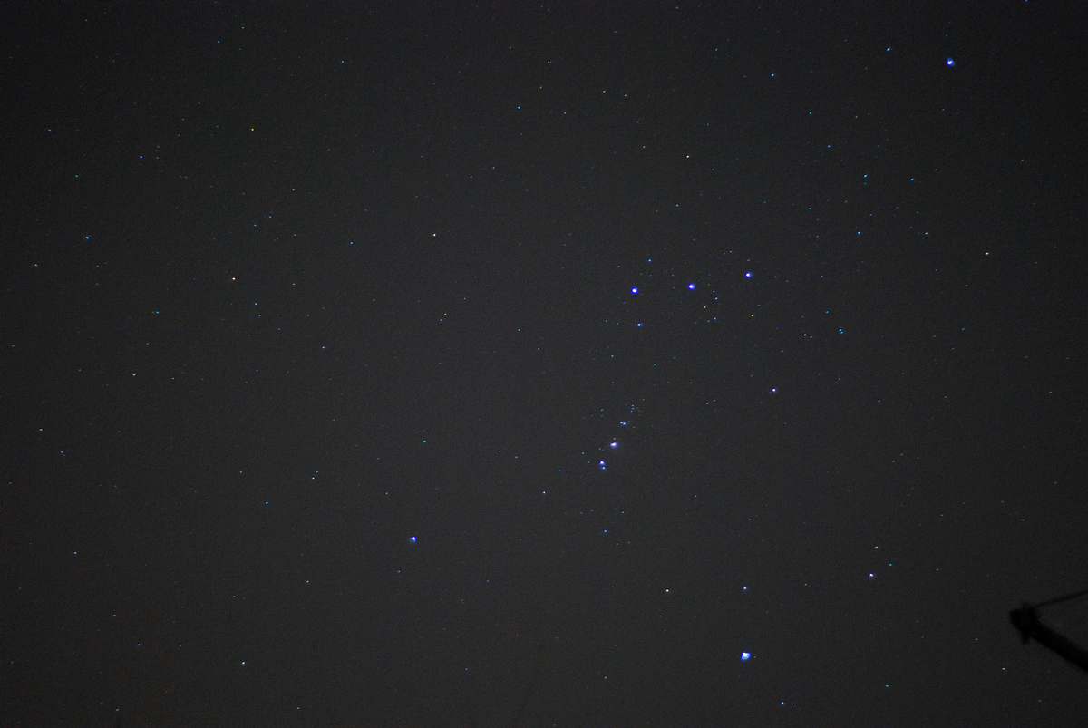DSC_3395.jpg