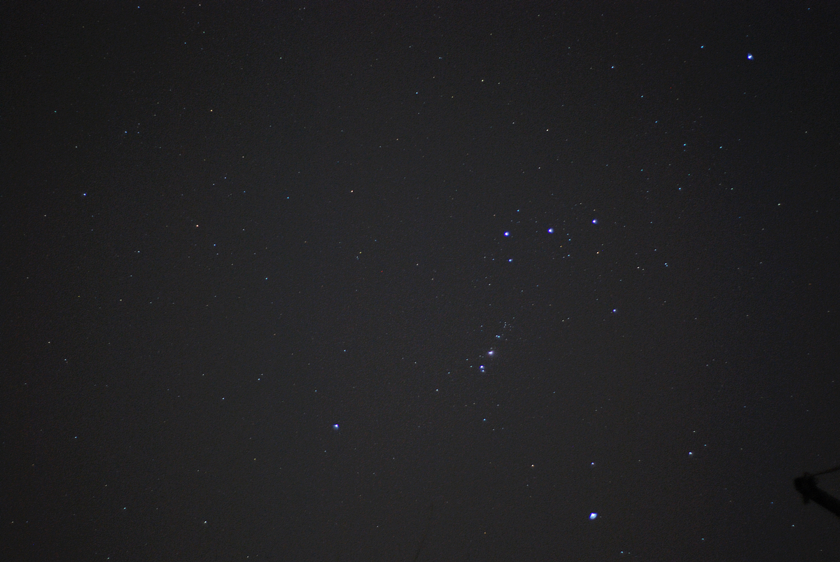 DSC_3396.jpg