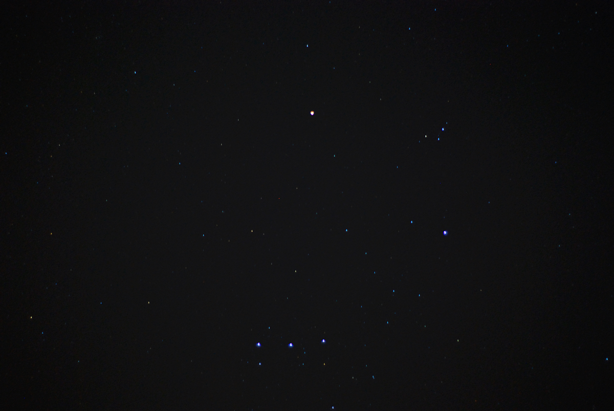 DSC_3405.jpg