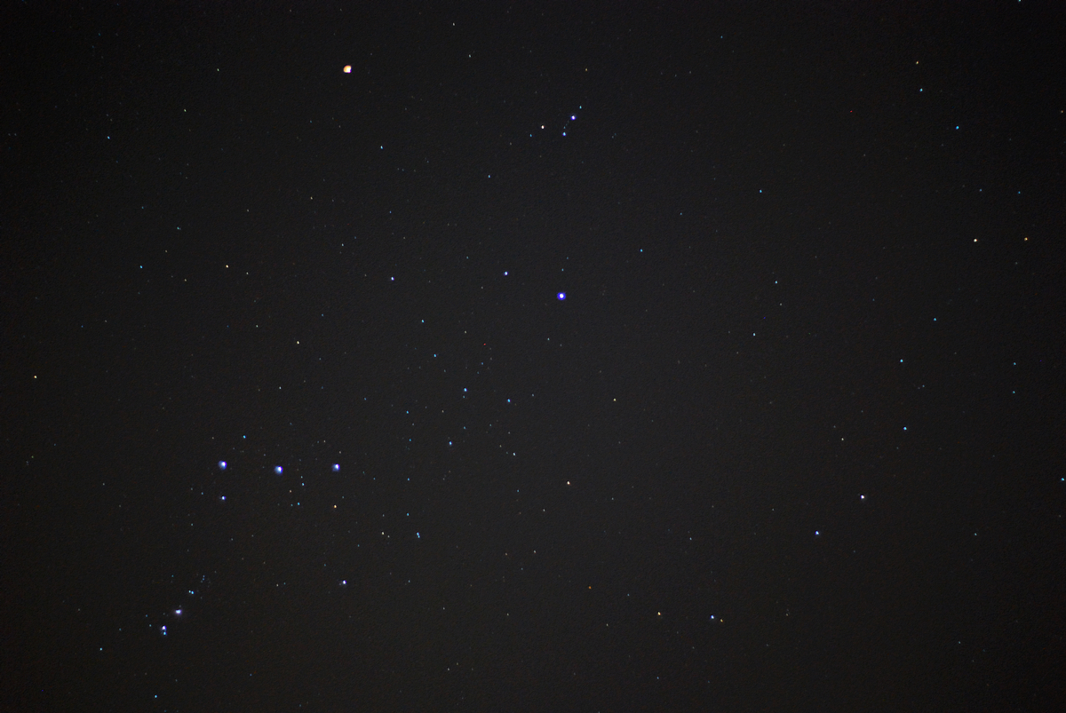 DSC_3406.jpg