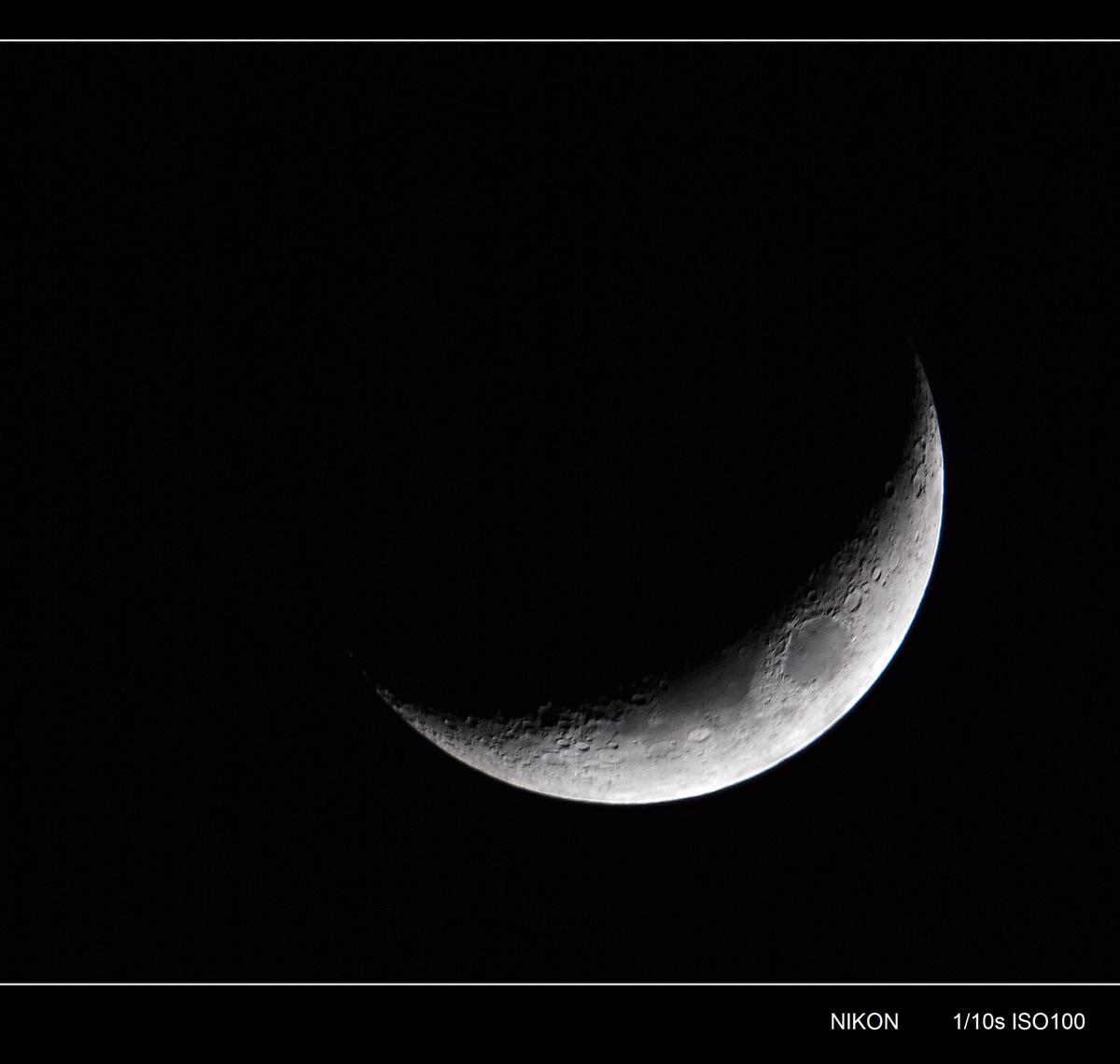 DSC_3433_conew1.jpg
