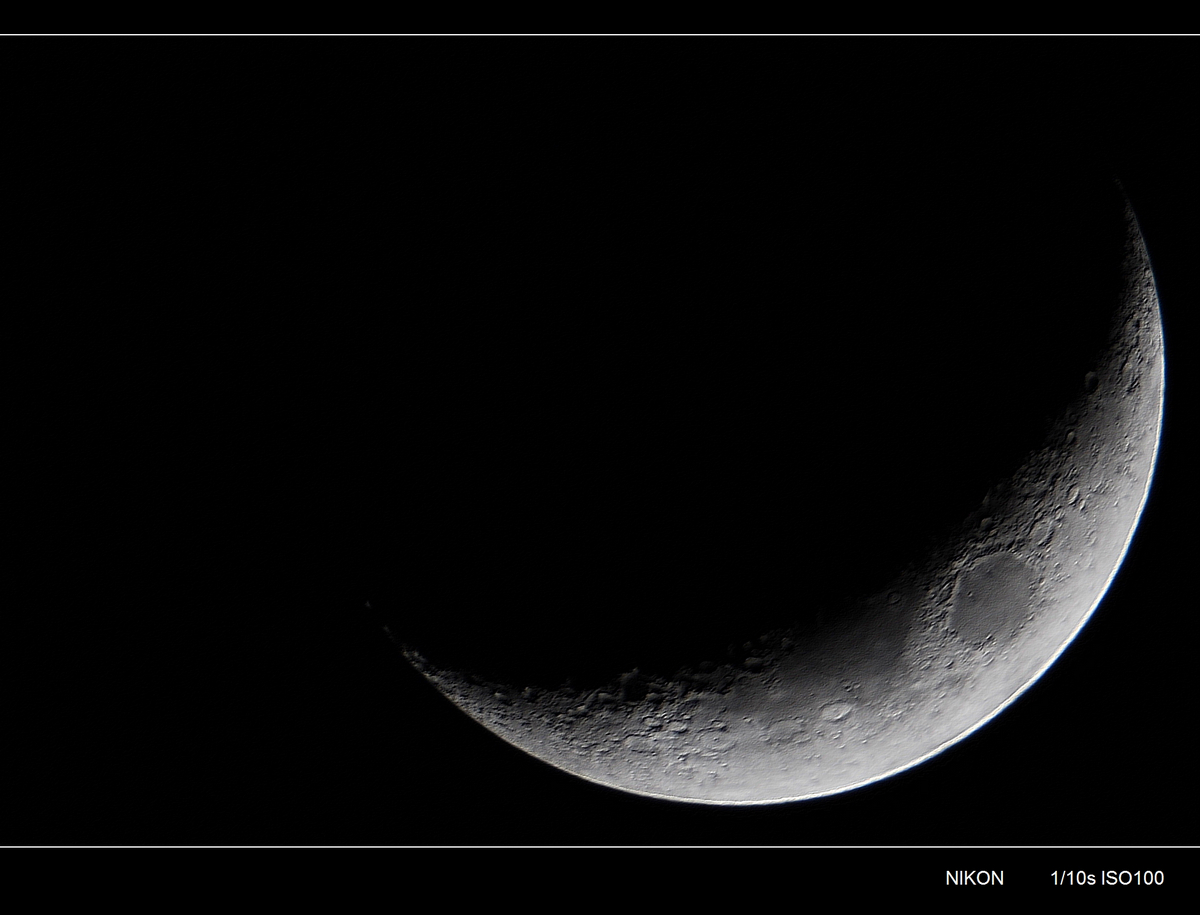 DSC_3434t6_conew1.jpg