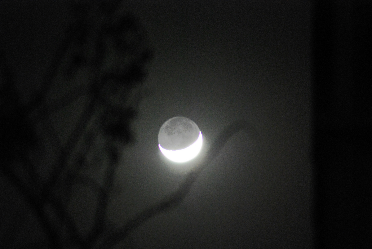 DSC_3477.jpg
