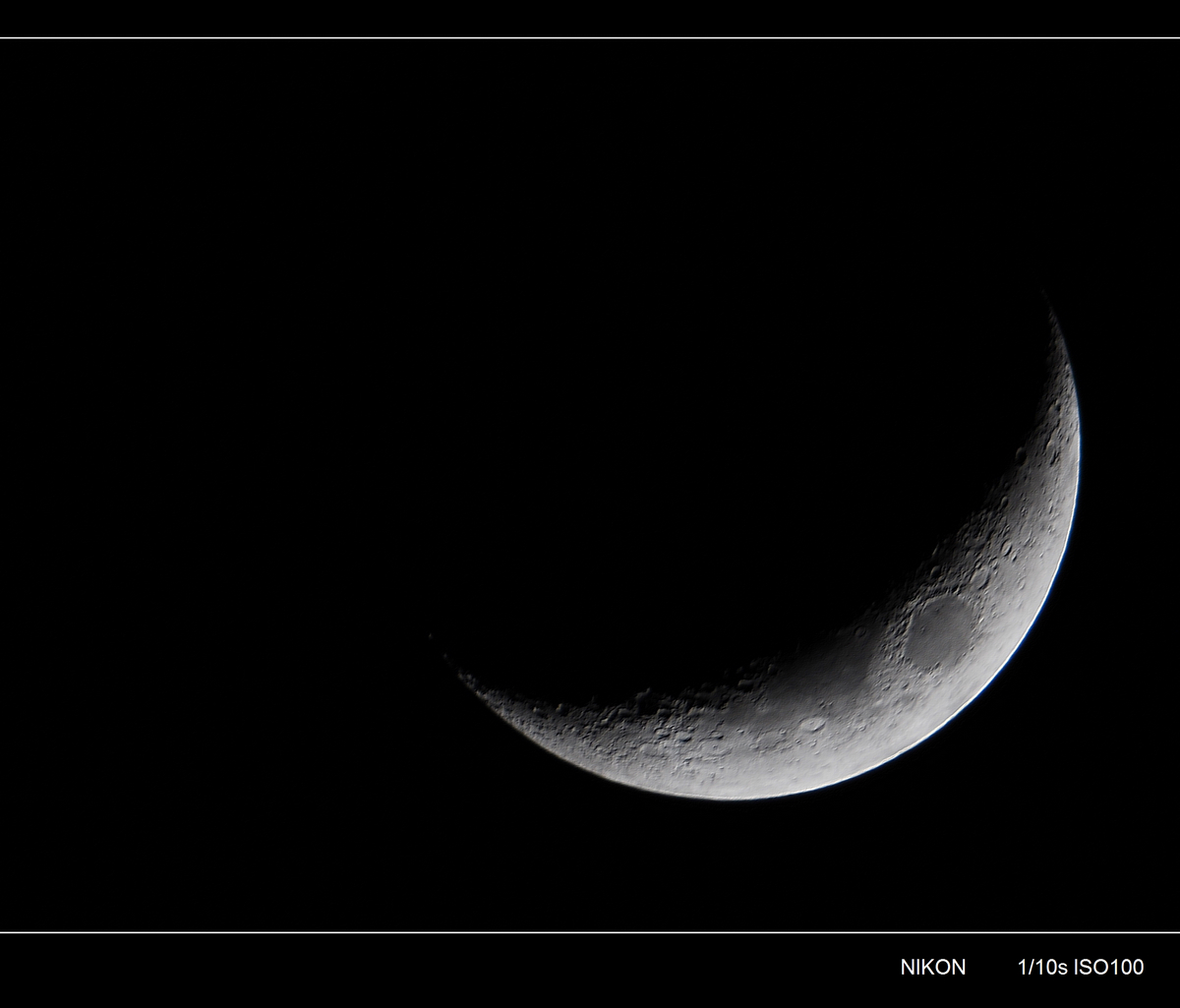 DSC_3427_conew1.jpg