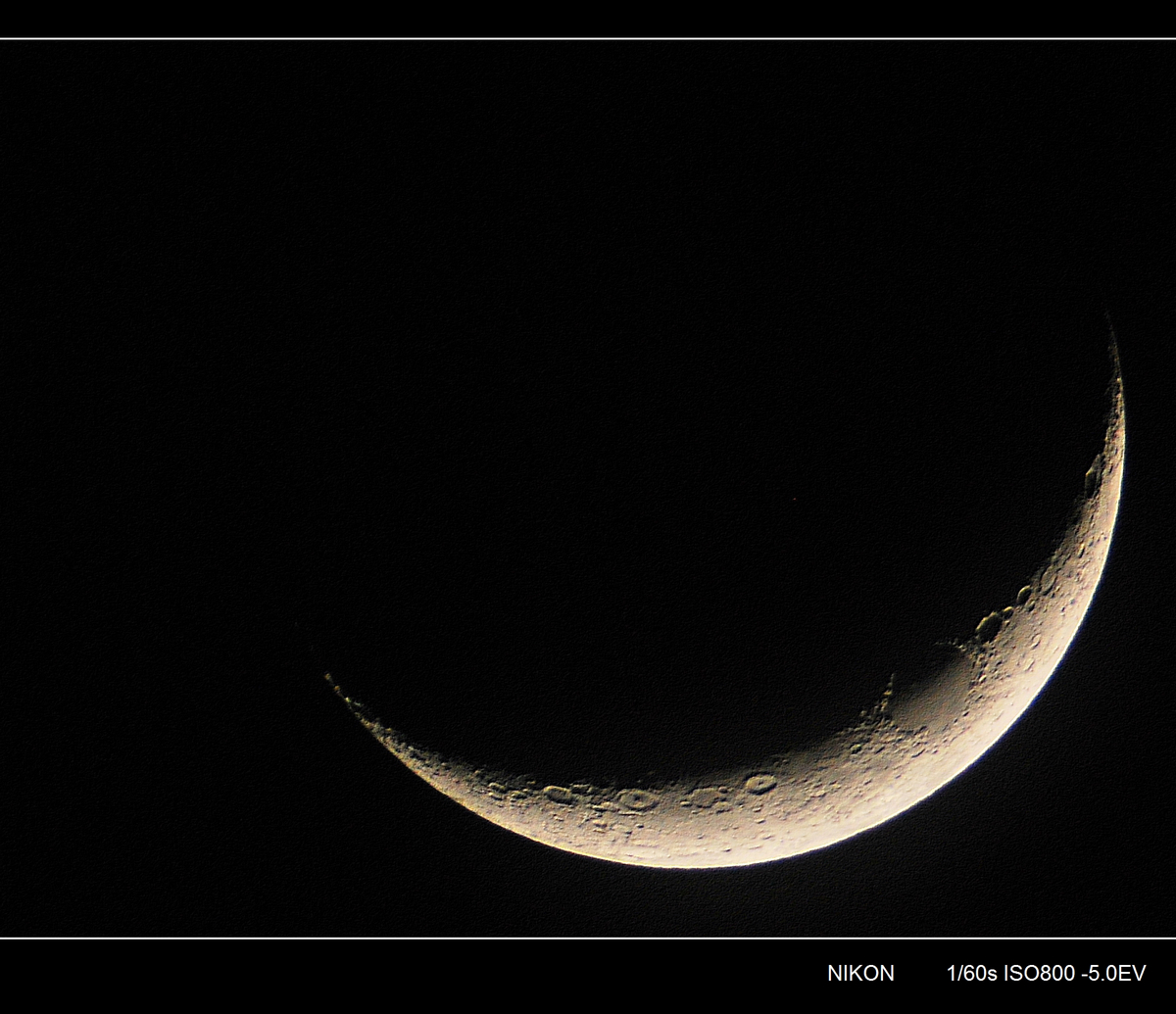 DSC_3298_conew1.jpg