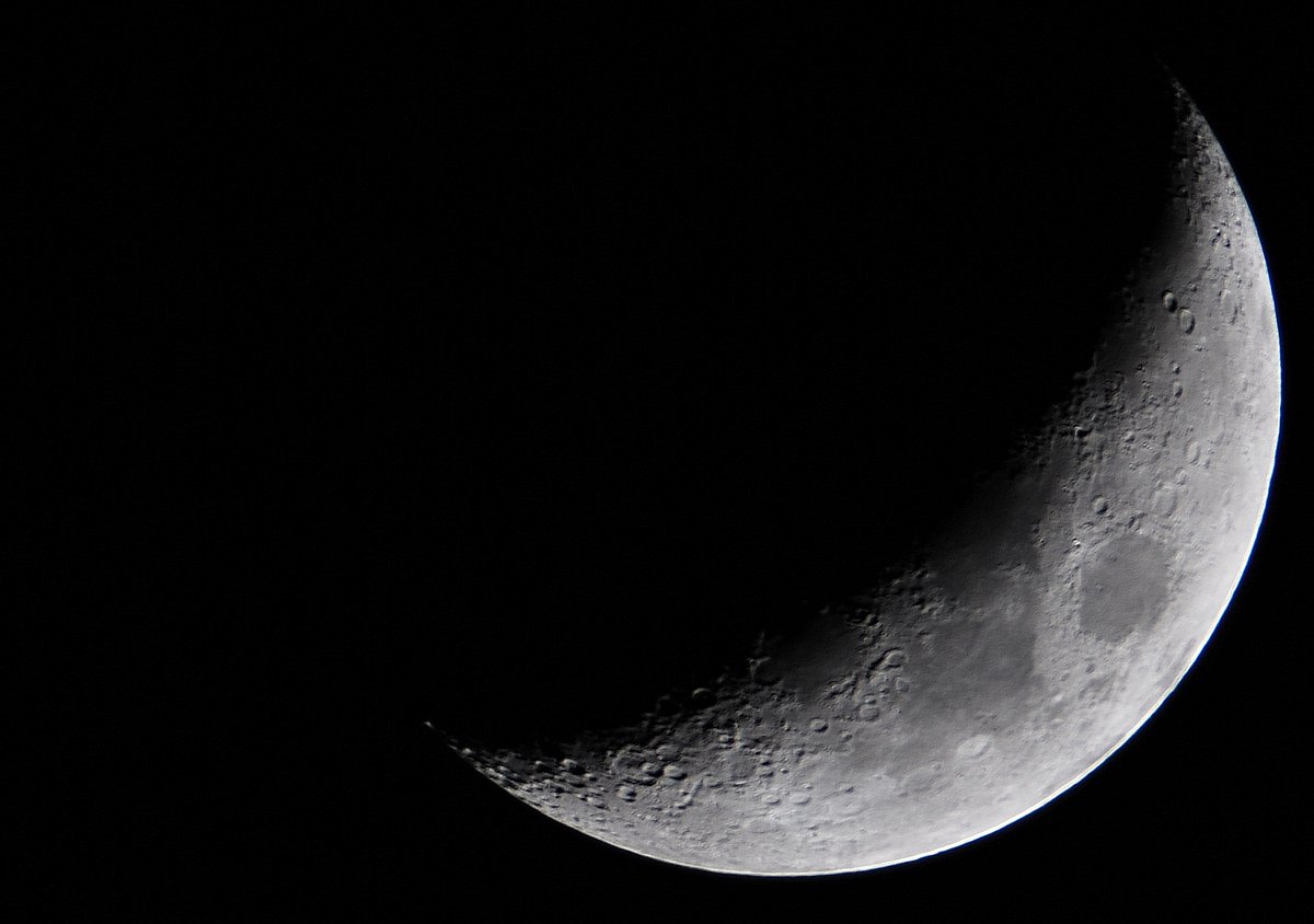 DSC_3537j.jpg