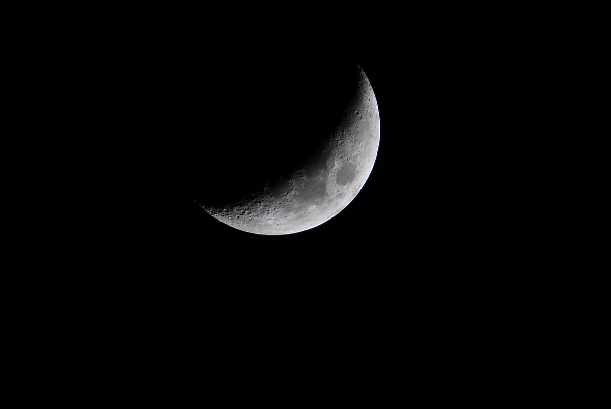 DSC_3538.jpg