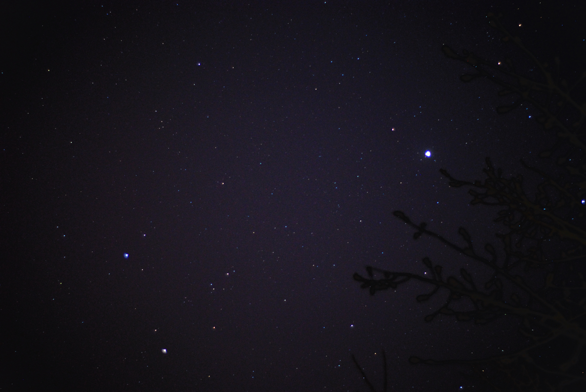 DSC_3542.jpg