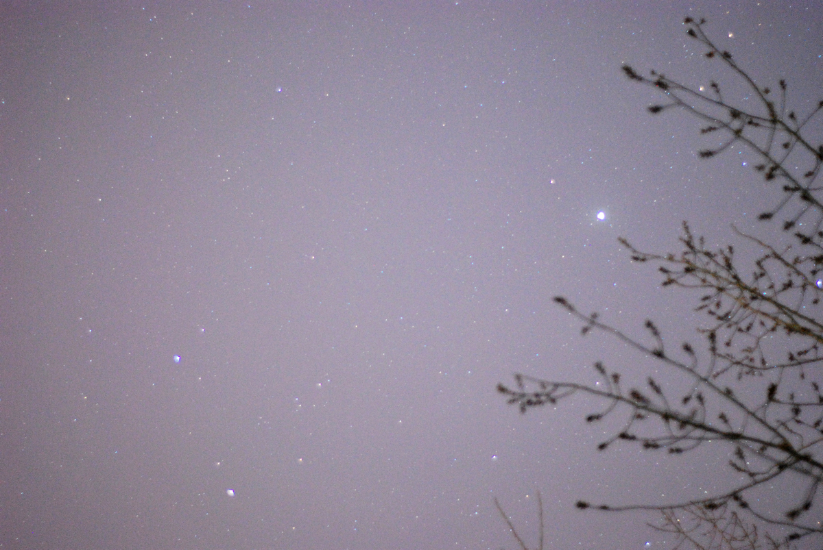 DSC_3542l,.jpg