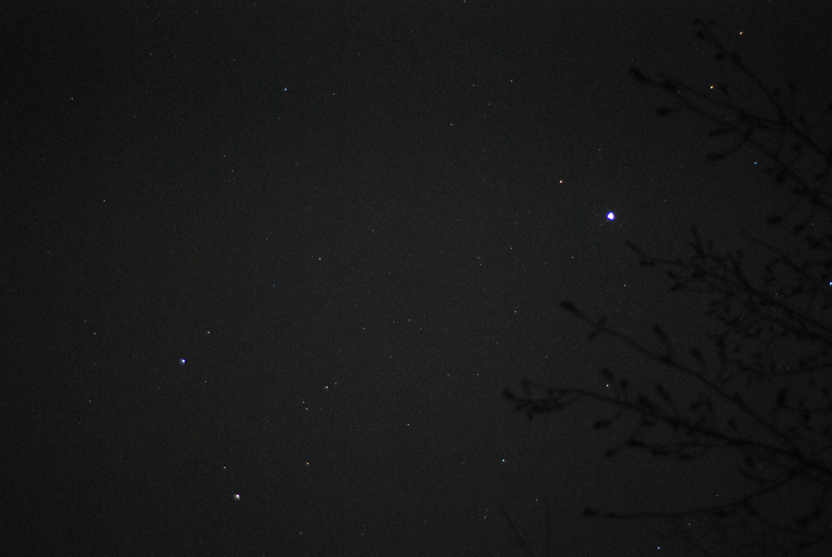 DSC_3544.jpg